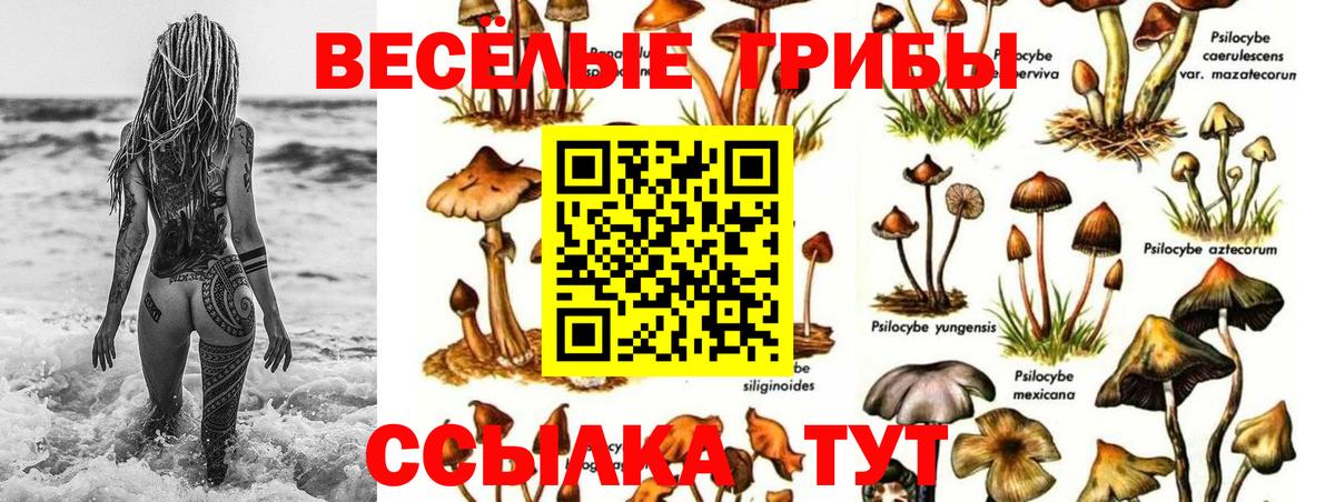 Псилоцибиновые грибы Cubensis  Вход с VPN  Рыбинск 